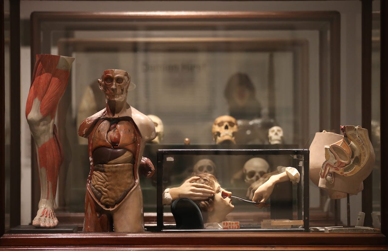 LONDON, ENGLAND - FEBRUARY 11:  Magnificent Obsessions: The Artist as Collector exhibition at the Barbican Art Gallery on February 11, 2015 in London, England. This is the first major exhibition in the UK to present the personal collections of post-war and contemporary artists. Ranging from mass-produced memorabilia and popular collectibles to one-of-a-kind curiosities, rare artefacts and specimens, these collections provide insight into the inspirations, influences, motives and obsessions of artists. Magnificent Obsessions: The Artist as Collector opens at the Barbican Art Gallery in London on February 12, 2015 until - May 25, 2015.  (Photo by Peter Macdiarmid/Getty Images for Barbican Art Gallery)