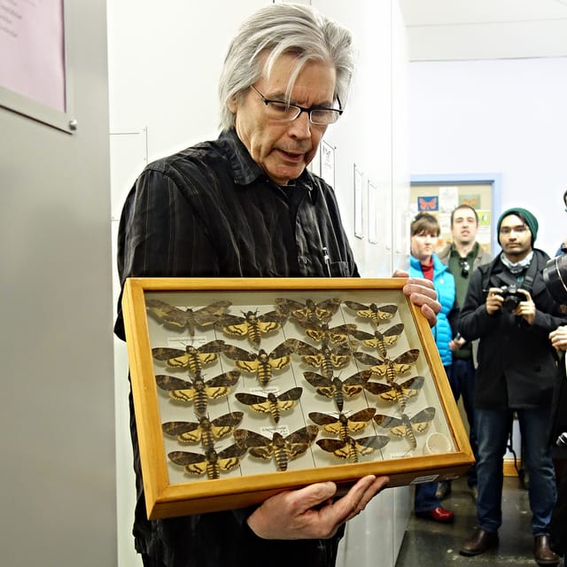 Greg Cowper with a case of Death's Head Moths at a recent Atlas Obscura event at the Academy of Natural Sciences (photo by the author for Hyperallergic)