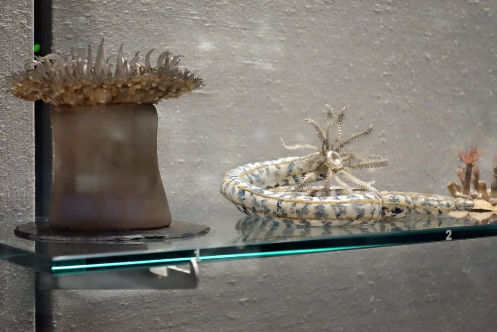 Leopold and Rudolf Blaschka glass specimens at the Corning Museum of Glass