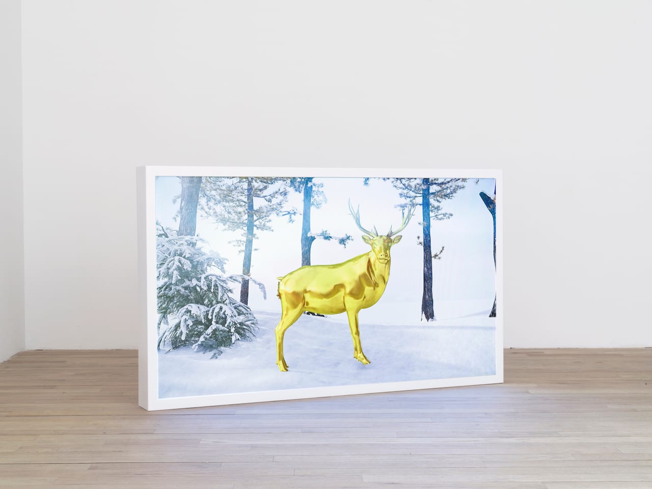 Jonathan Monaghan, "Escape Pod" (2015),  animated HD film, 20 minutes, seamless loop (photo by John Berens, courtesy bitforms gallery, New York)