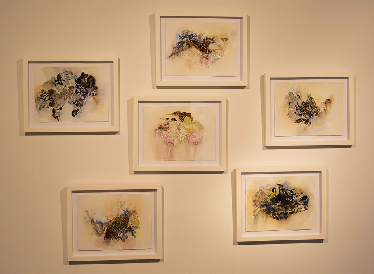 Installation view of Lina Puerta 'Galaxies' series (2015)