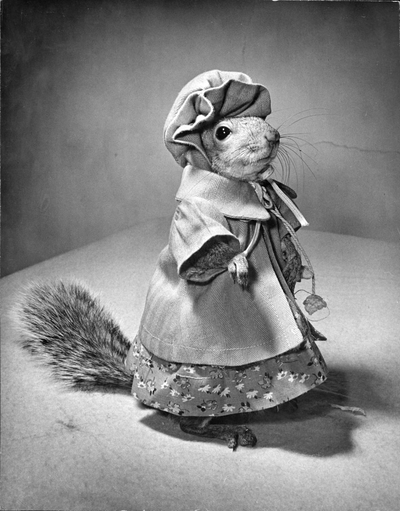 Nina Leen "Tommy Tucker" (1944) (image courtesy of Daniel Cooney Fine Art) 