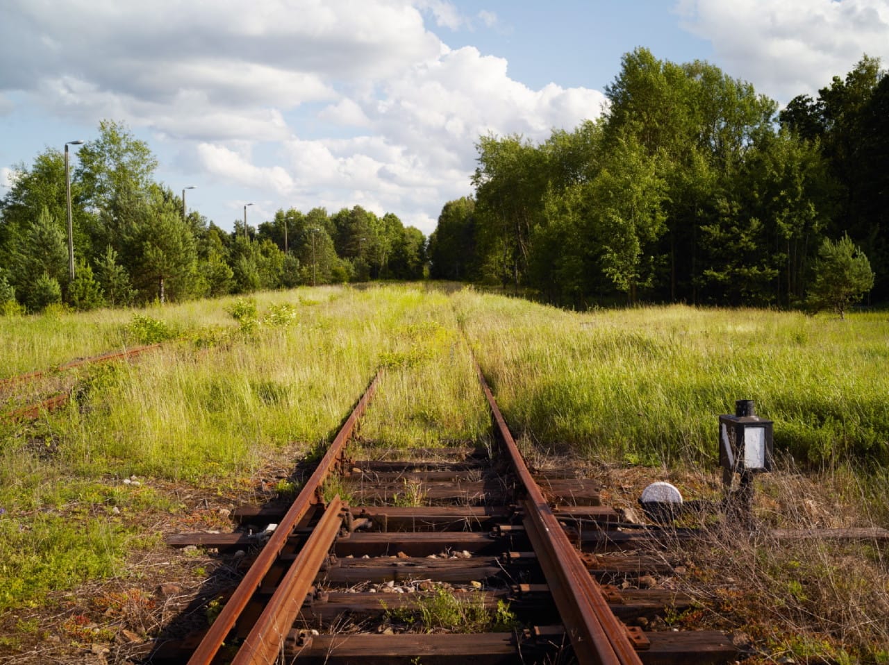 Jegor Zaika, "Poland, Sobibór" (2014): Train track near the Sobibór extermination camp site