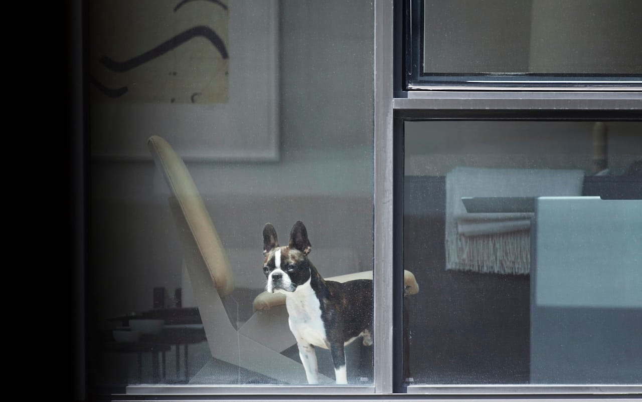 Svenson_Neighbors_15