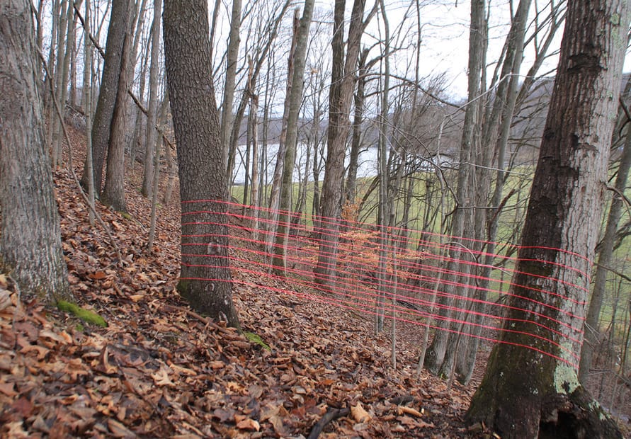 Installation by Megan Mosholder of Savannah, Georgia