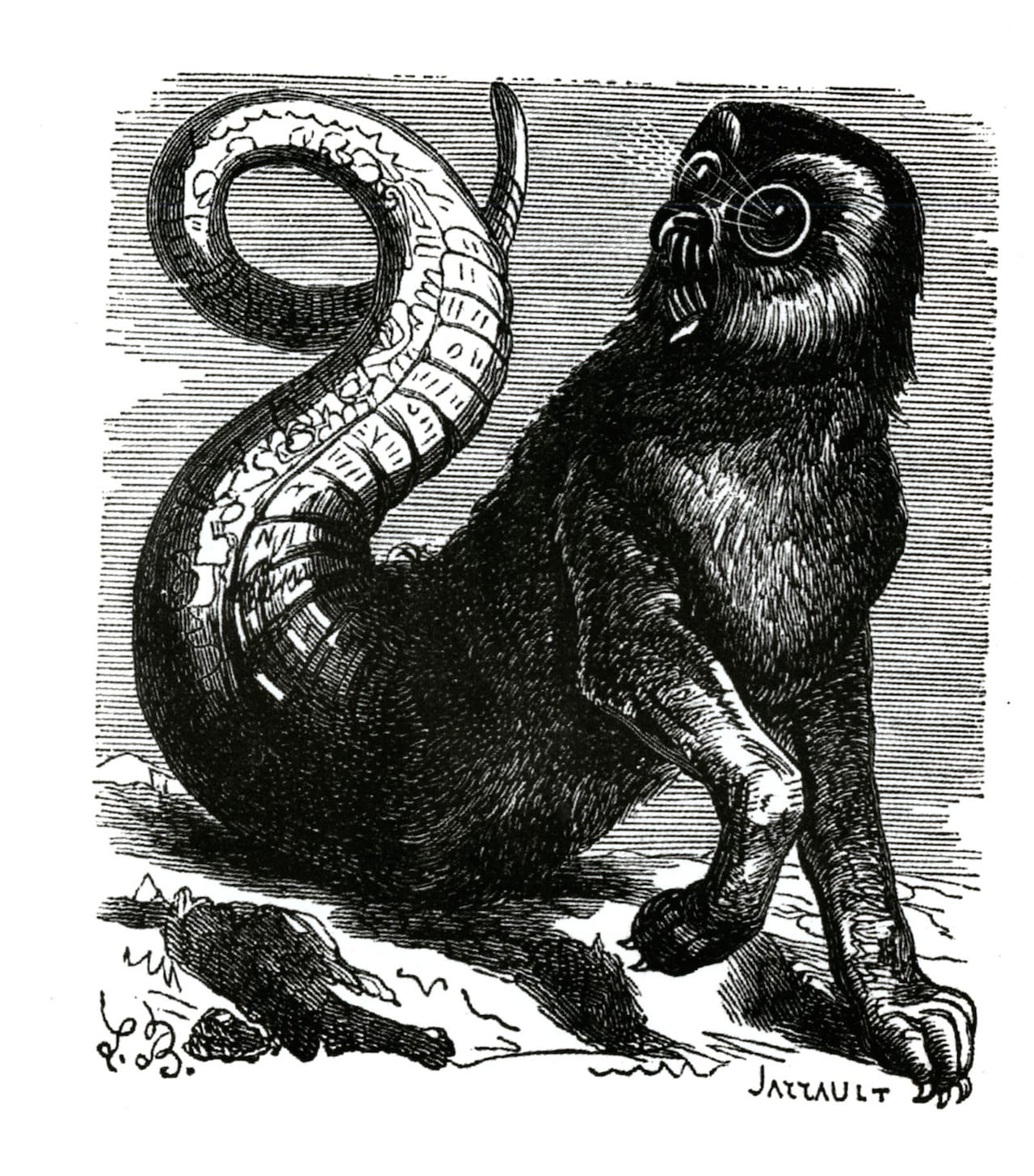 'What Makes a Monster?'