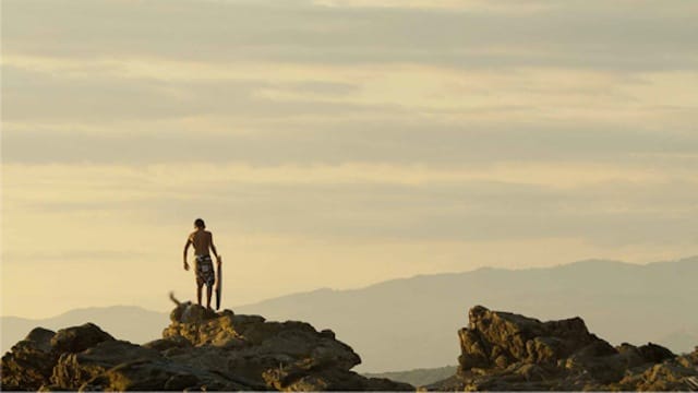 Edgardo Aragón, "Exterminio" (via steveturner.la