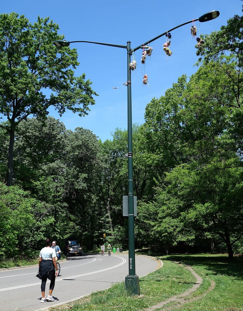 Nina Katchadourian, "The Lampost Weavers," installed on the West Drive of Central Park