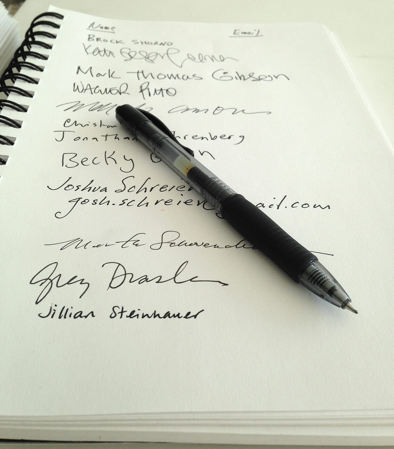 Pen at Edlin Gallery