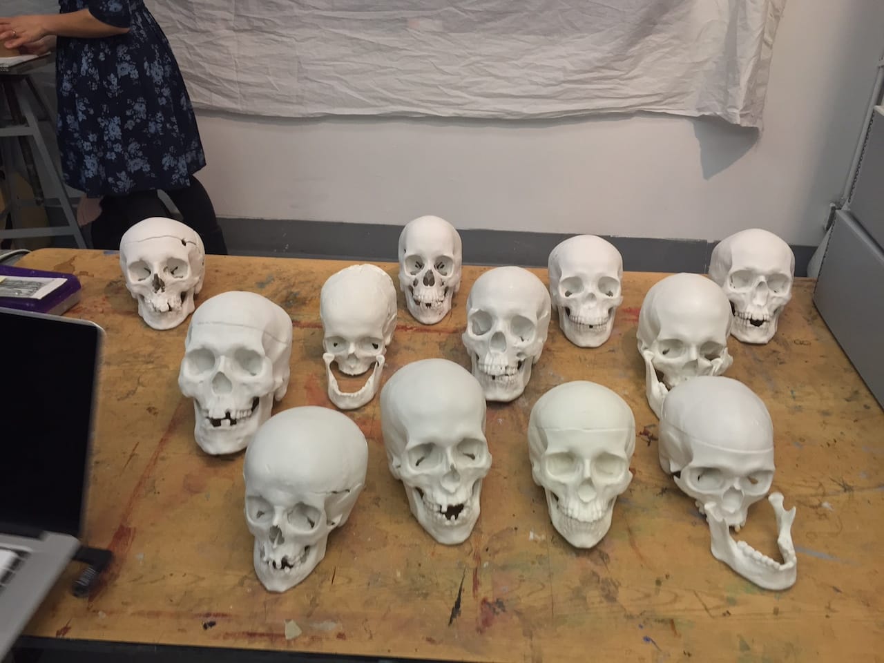 Replicas of the unidentified skulls
