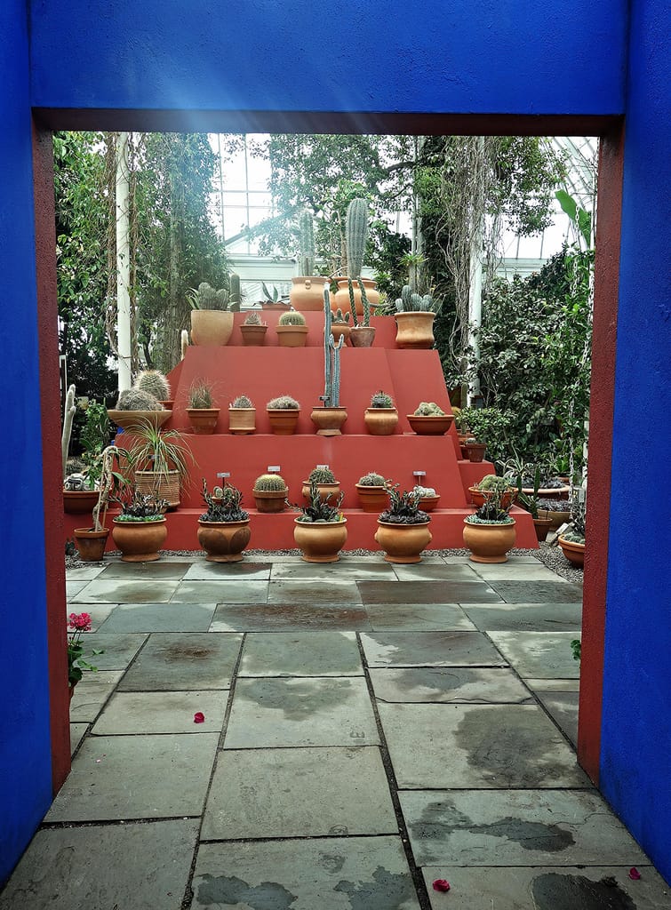 Frida: Art, Garden, Life