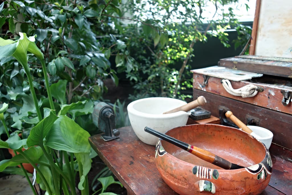 Frida: Art, Garden, Life