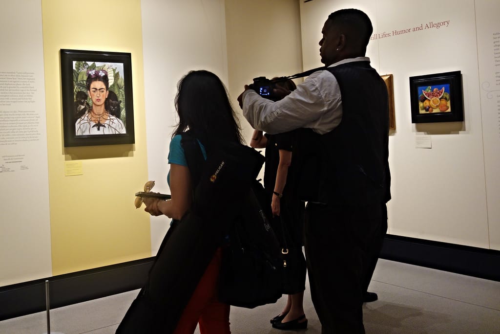 Frida: Art, Garden, Life