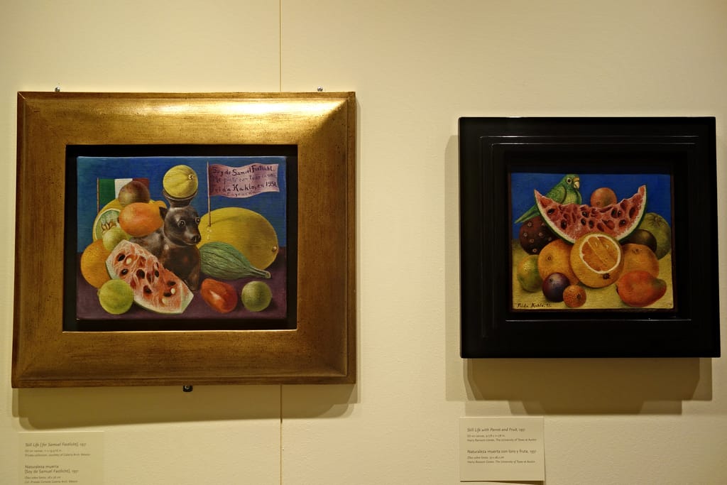 Frida: Art, Garden, Life