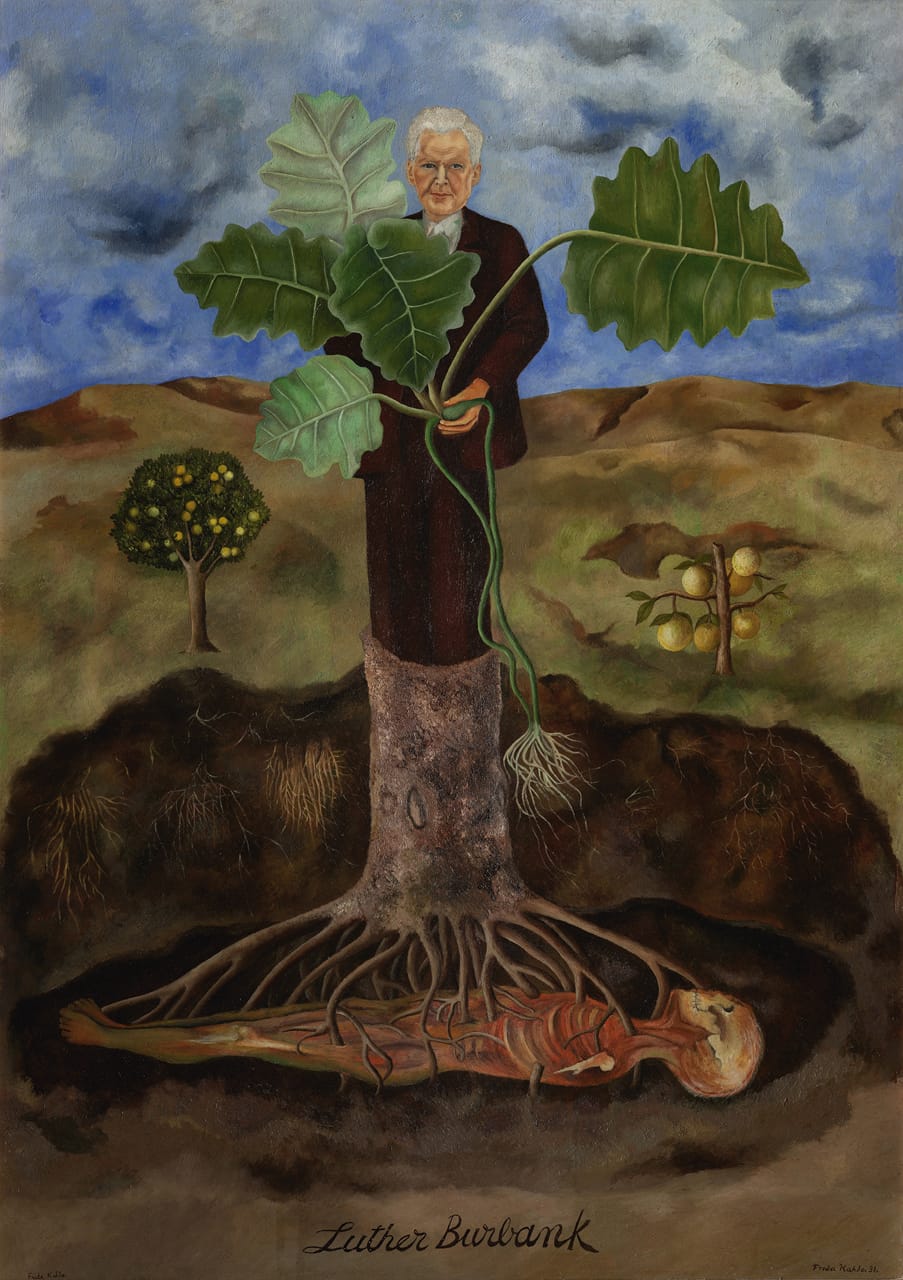 Frida Kahlo, Portrait of Luther Burbank, 1931Museo Dolores Olmedo, Xochimilco, Mexico© 2015 Banco de México Diego Rivera Frida Kahlo Museums Trust, Mexico, D.F. / Artists Rights Society (ARS), New Yo