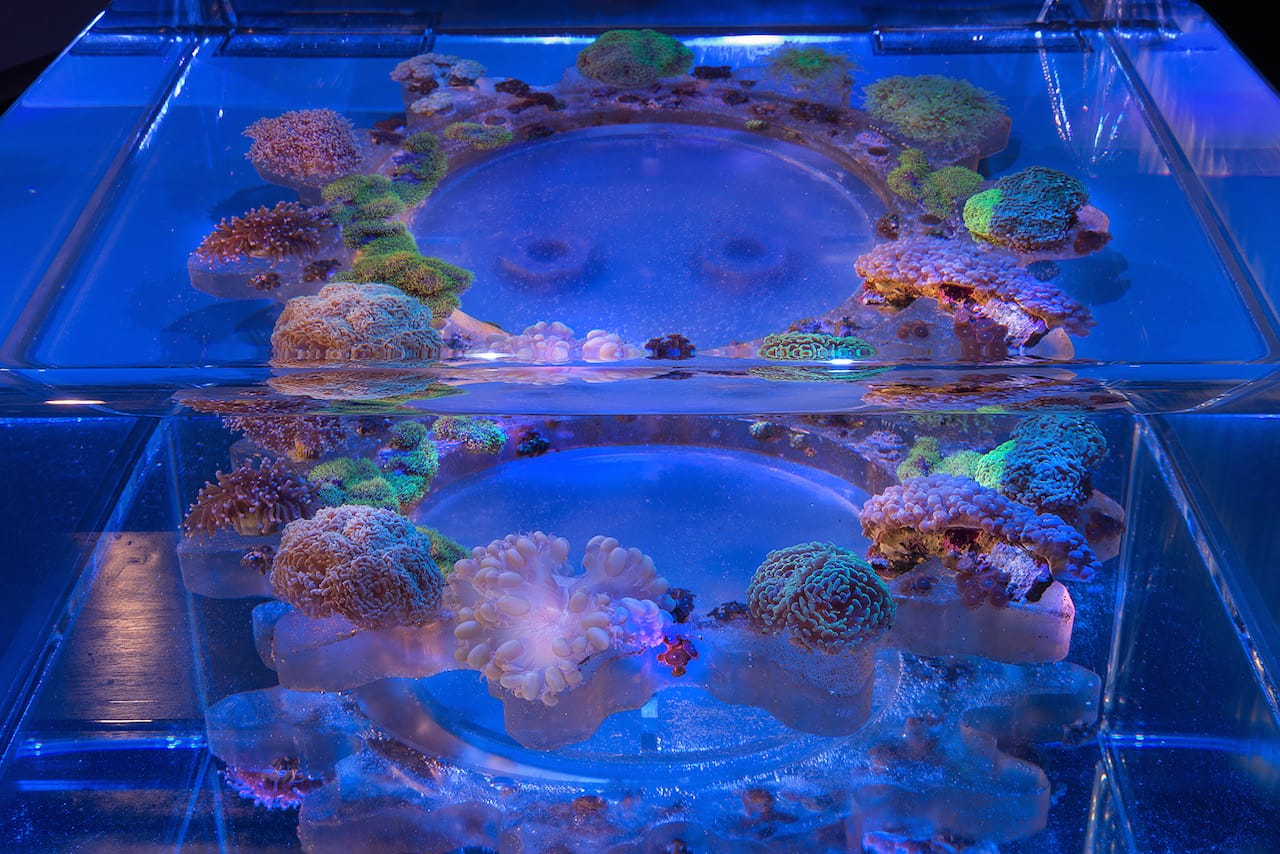 GA Glen Kaino - Apr 15-0277