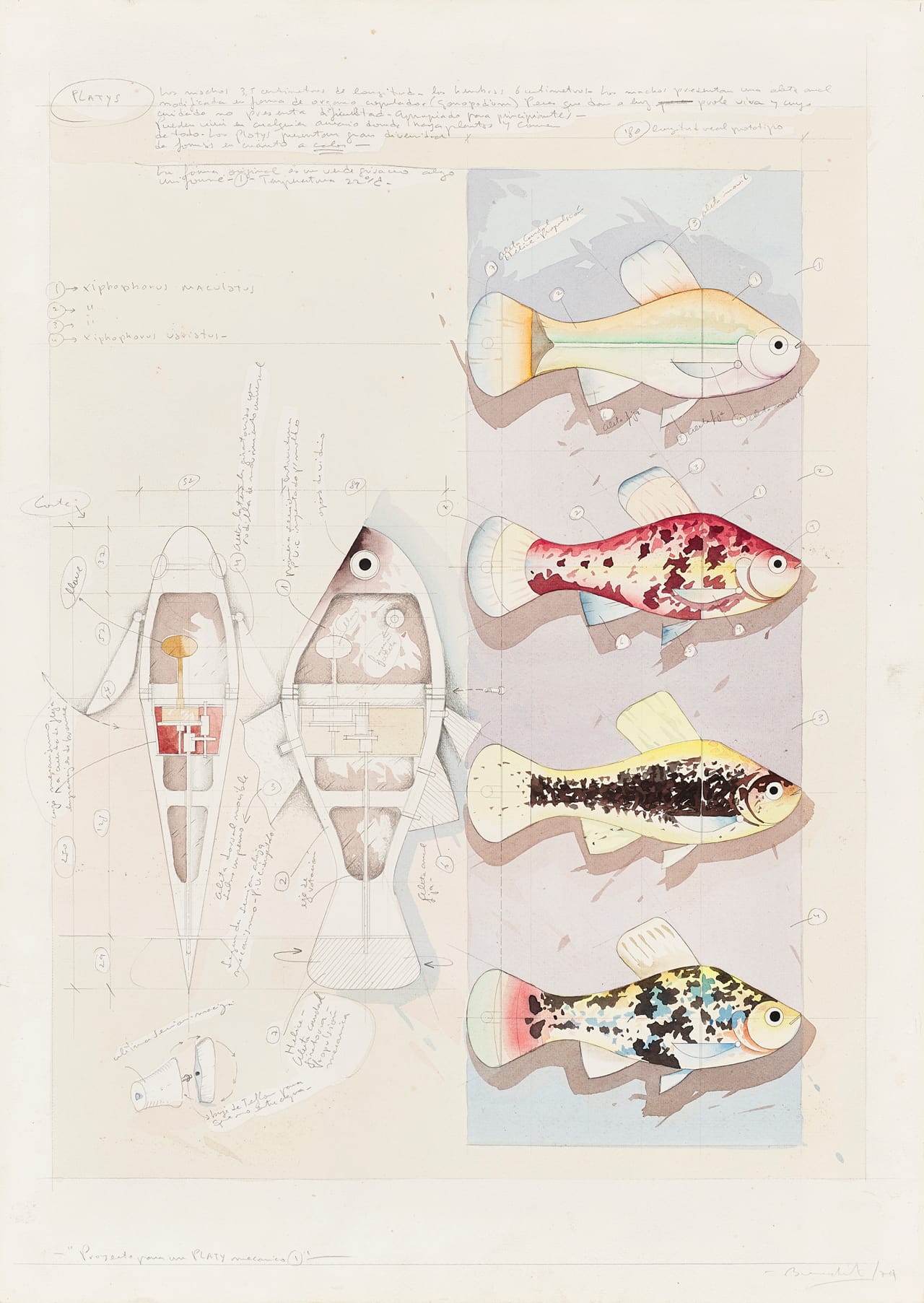 Luis Fernando Benedit, "Proyecto para un platy mecánico 1" (1974), watercolor and graphite on paper (courtesy of the artist and Henrique Faria)