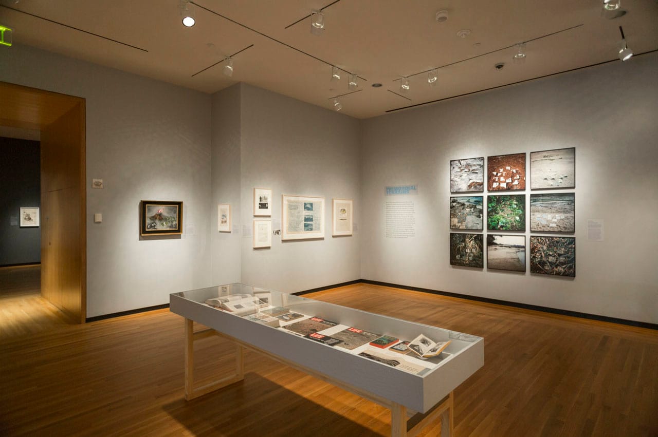 'Past Futures: Science Fiction, Space Travel, and Postwar Art of the Americas' at the Bowdoin College Museum of Art (photo by Dennis and Diana Griggs)