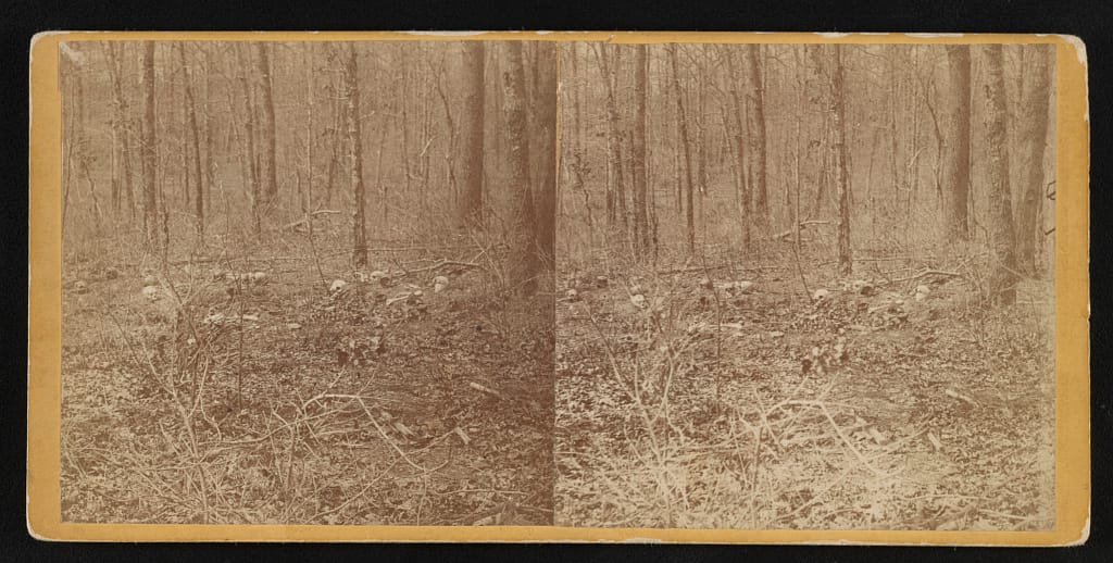 Remains of unburied soldiers, one-half mile S.W. of Chancellorsville House. View taken April 1865 - Brown, G. O.