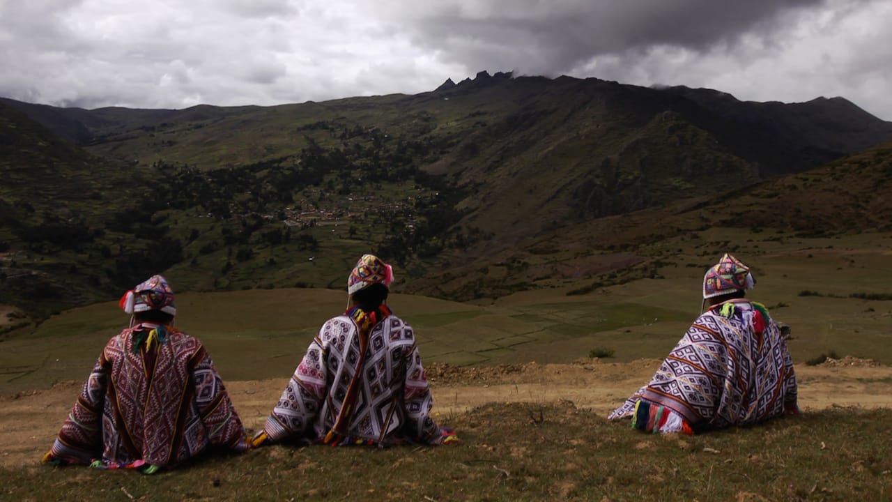 Still from 'Seeds of Time'