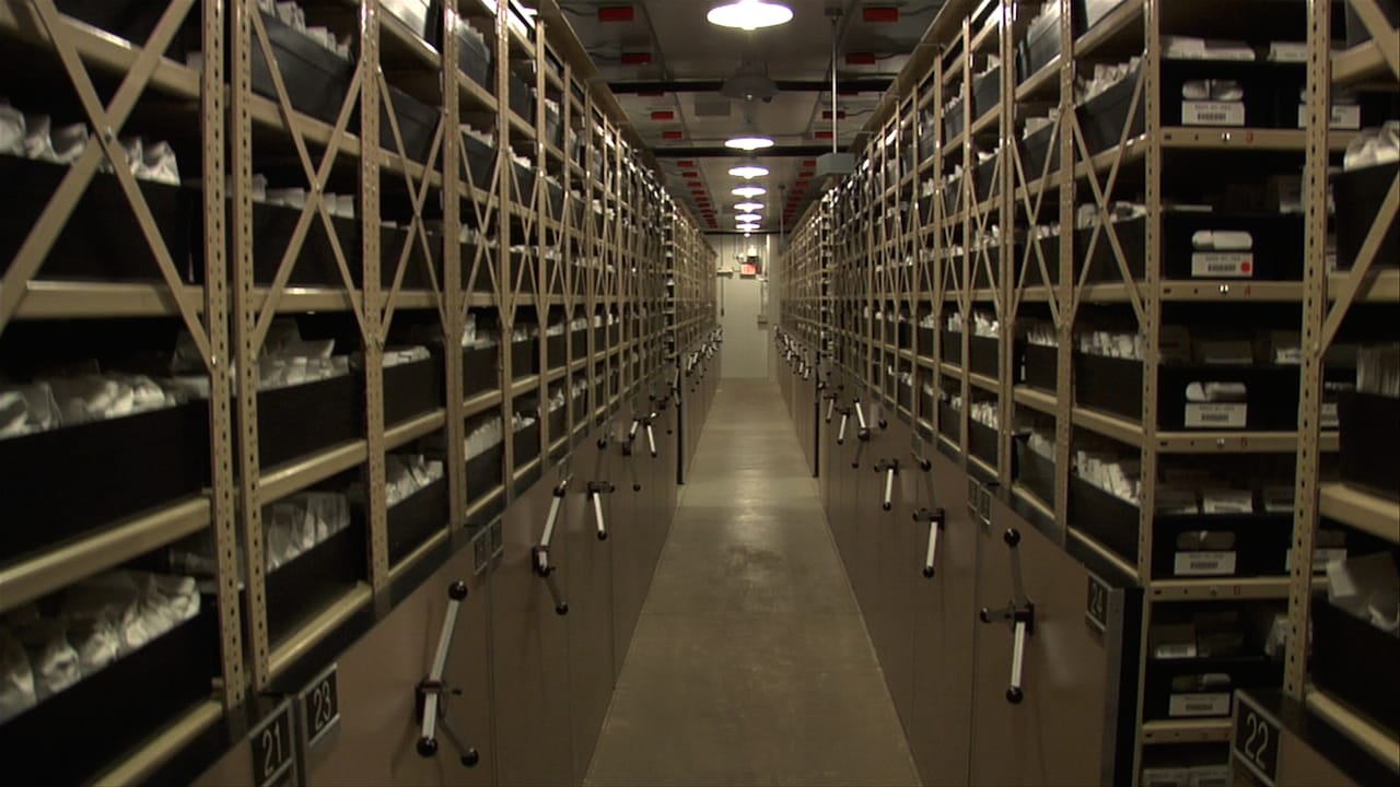 Still from 'Seeds of Time'