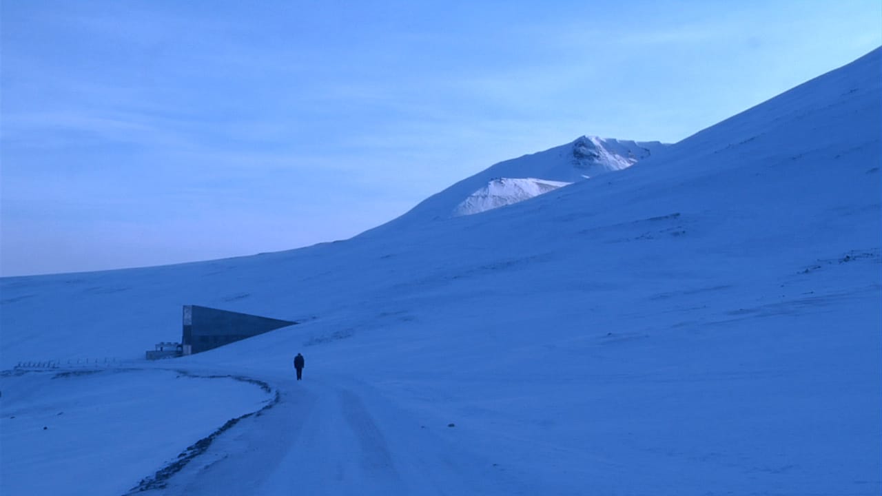 Still from 'Seeds of Time'