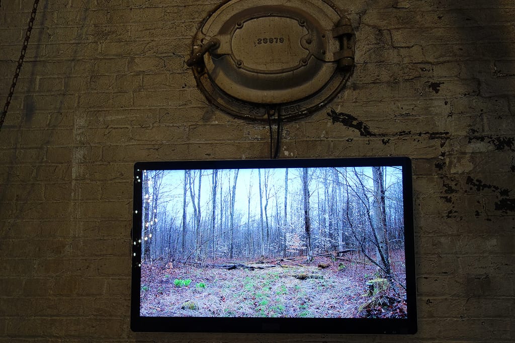 Anonymity, no longer an option