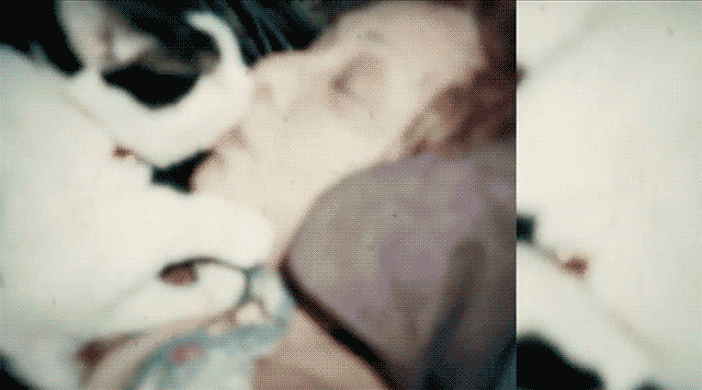 (gif by Hrag Vartanian for Hyperallergic)