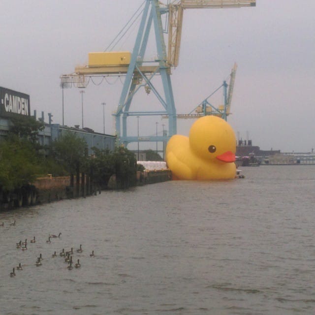 An unauthorized version of Florentijn Hofman's "Rubber Duck" runs aground at Tall Ships Philadelphia Camden. (photo by Moises Figueroa Ramirez/Instagram)