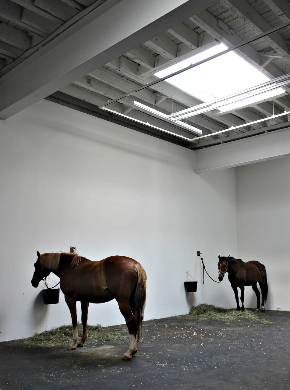Jannis Kounellis’s “Untitled (12 Horses)" at Gavin Brown's enterprise