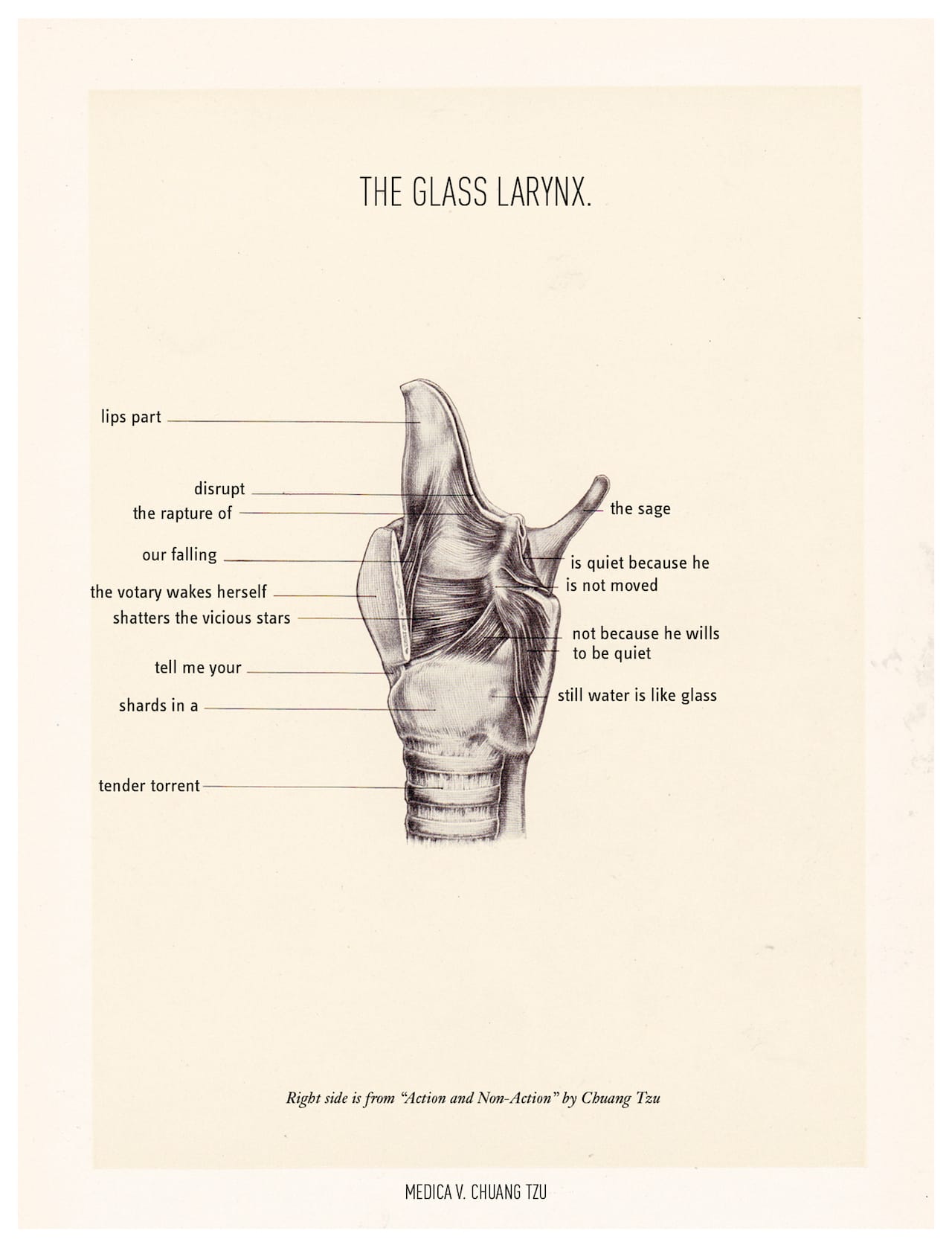 glass-larynx-ONG-h