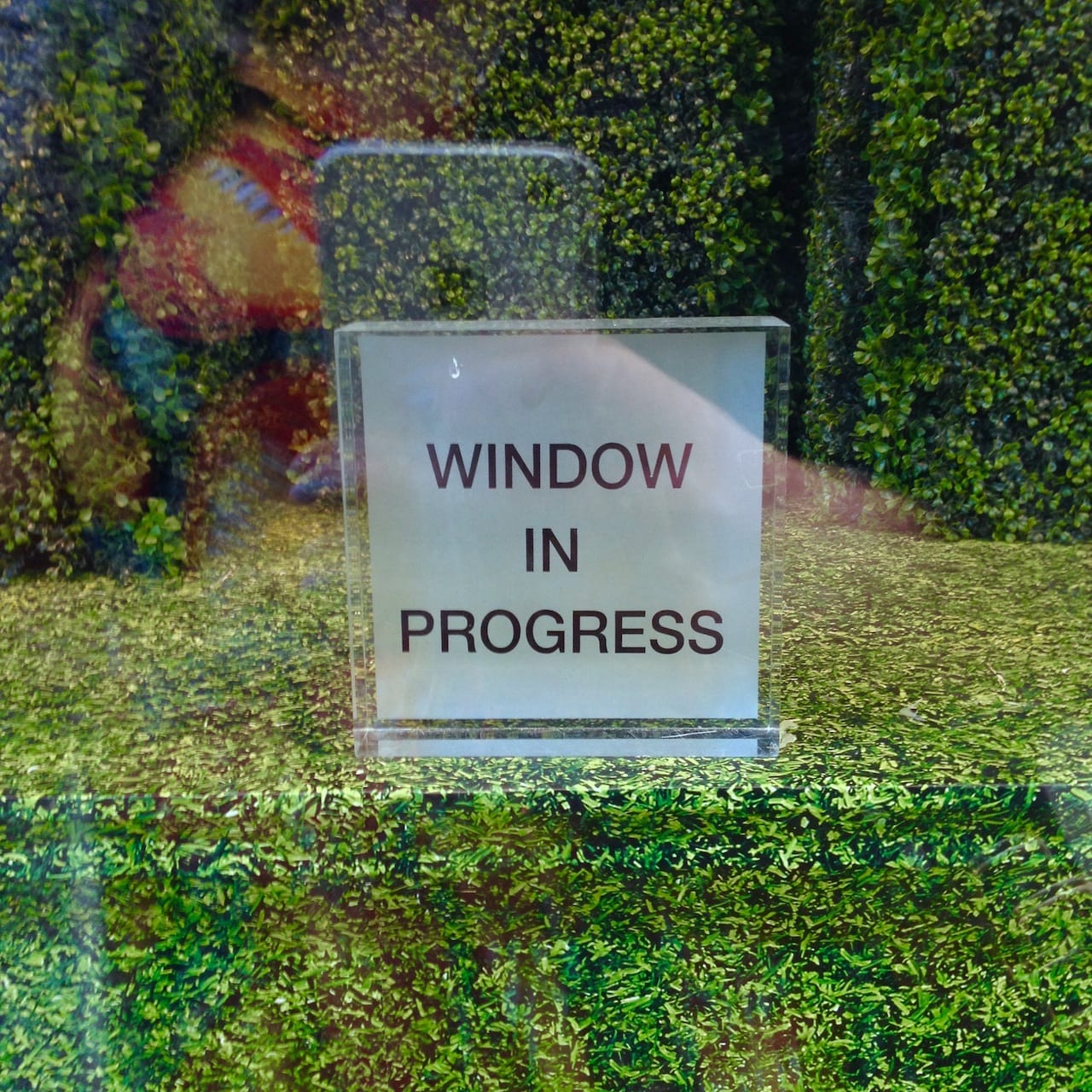 (photo by the author for Hyperallergic)