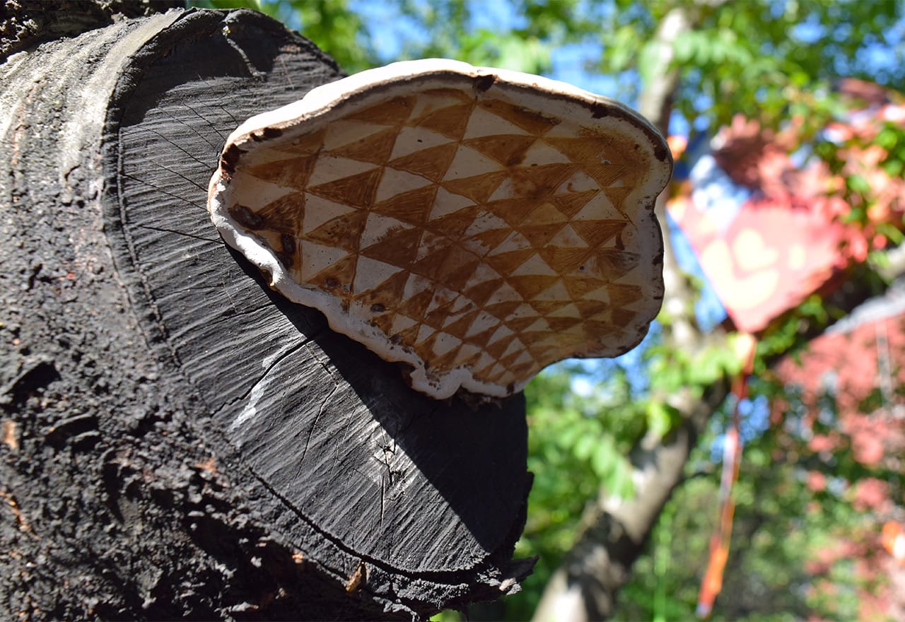 Painted sculpture by James Gillispie