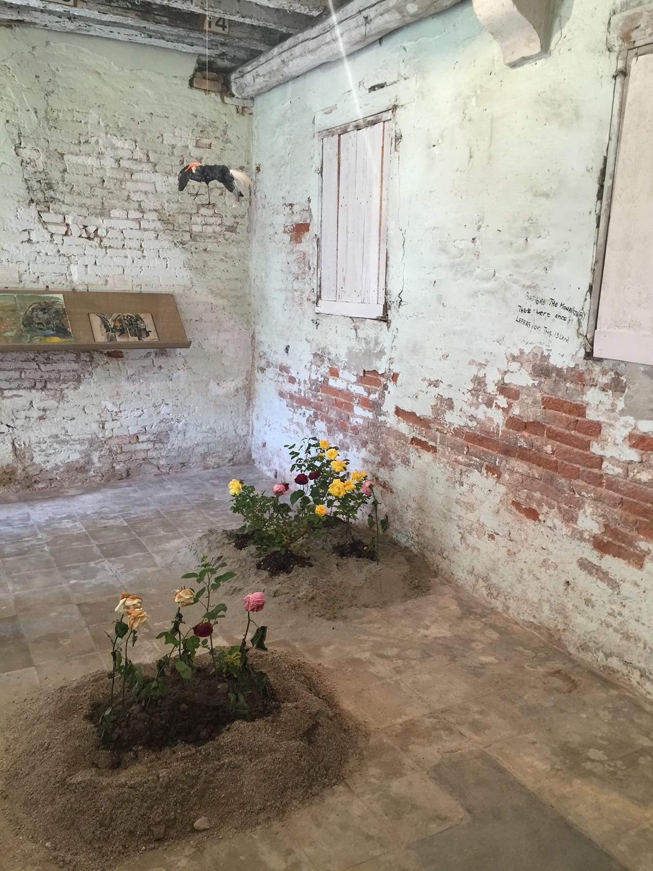 Anna Boughiguian, “Ani” (2015), installation (click to enlarge)