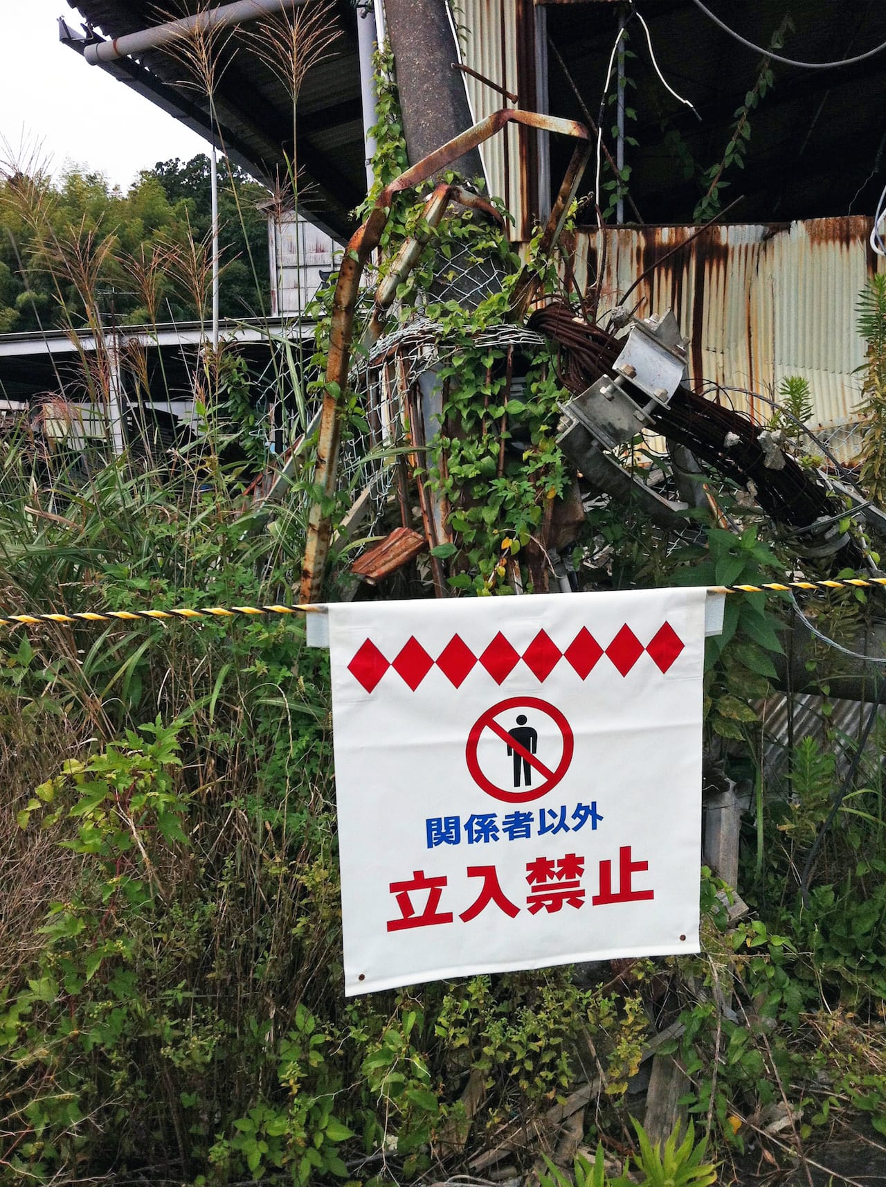 View of the Fukushima Exclusion Zone