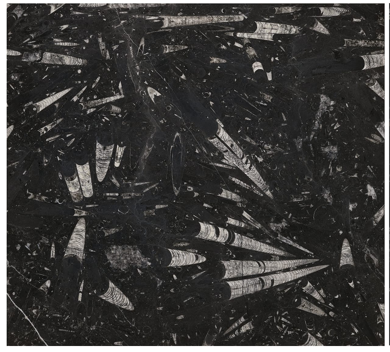 Maria Nordman, "Terrestrial Drawing", undated