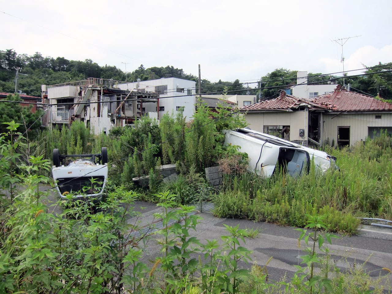 View of the Fukushima Exclusion Zone