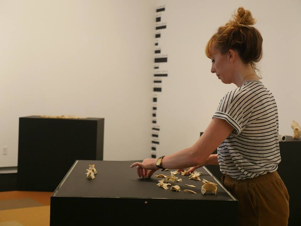 11401436_10153137449251144_4906820564845138930_n