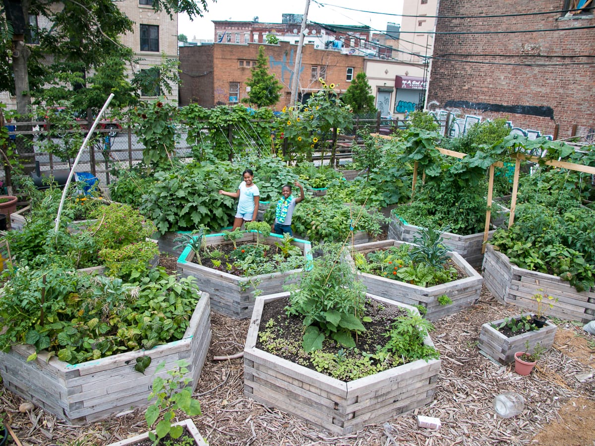 Bushwick City Farm (photo by Alix Piorun)