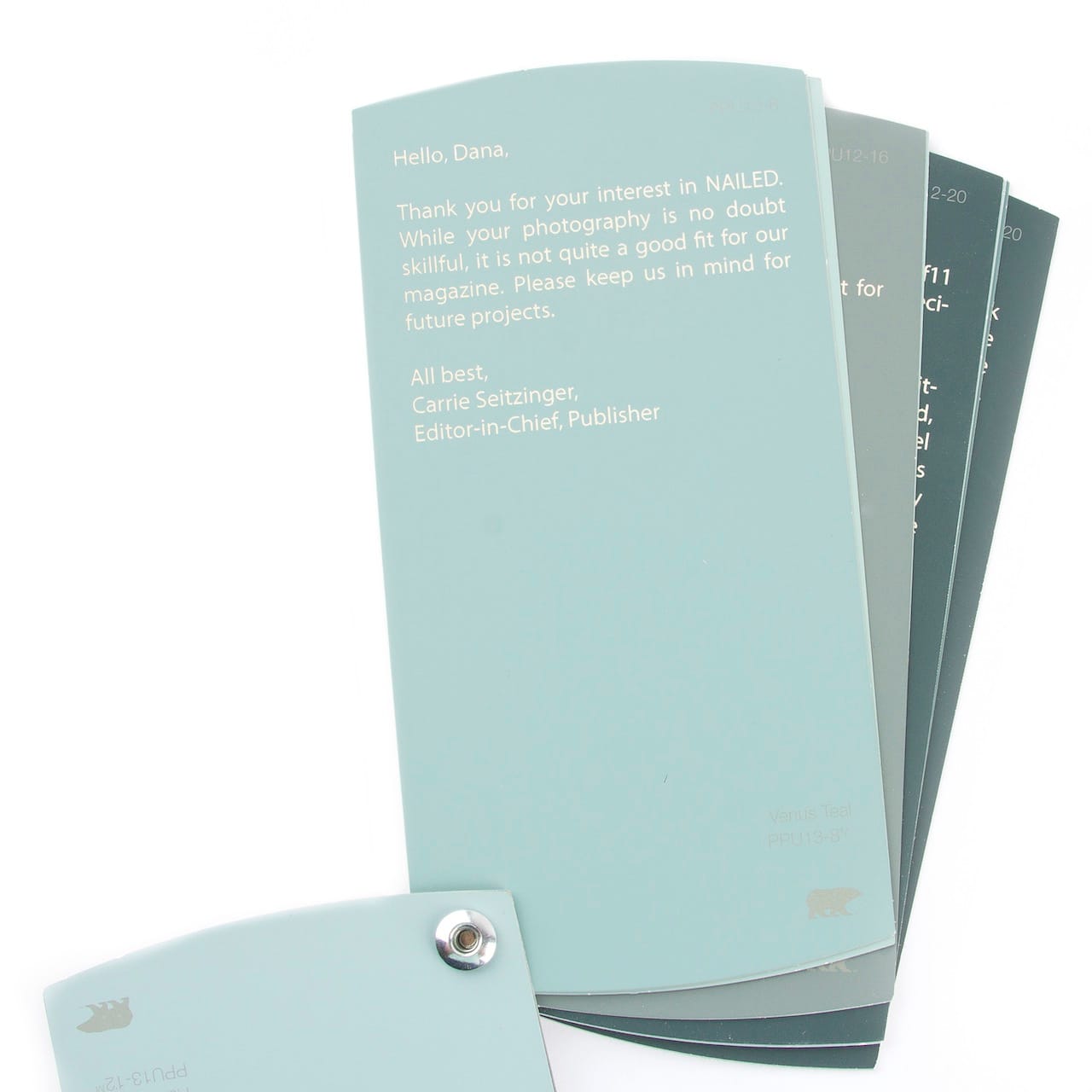 Dear Artists we regret to tell you - 6