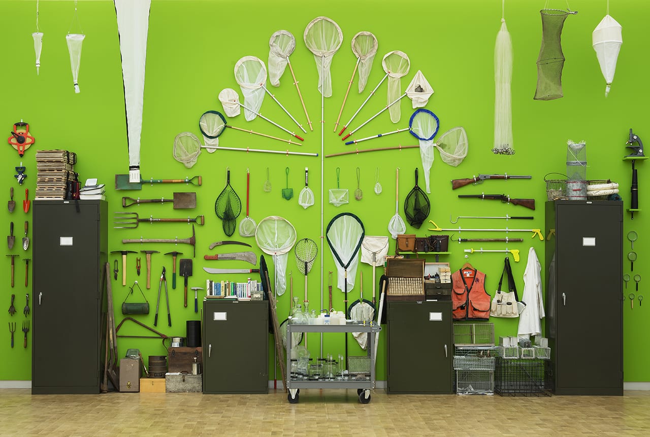 Mark Dion, "The Incomplete Naturalist" (2015), installation view, commissioned by the Barnes Foundation for 'Mark Dion, Judy Pfaff, Fred Wilson: The Order of Things' exhibition (photo by Rick Echelmeyer, image © The Barnes Foundation)