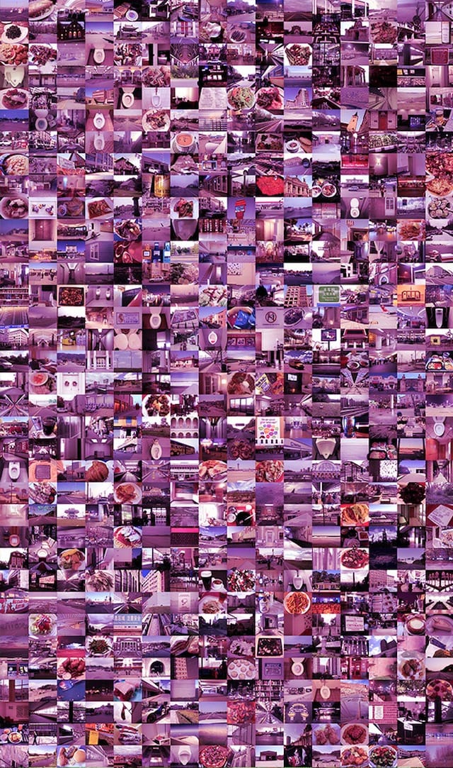 elahi_tlb_detail_5_magenta