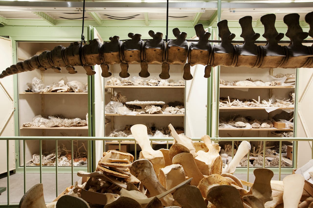 Fiona Tan, "Depot" (2015) (still from the film) (courtesy the artist)