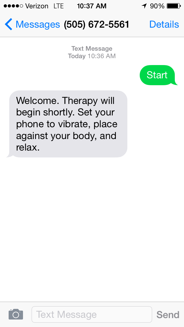 Screenshot of Luke Loeffler’s “Treatment for Hyperactive Electronic Response Syndrome”