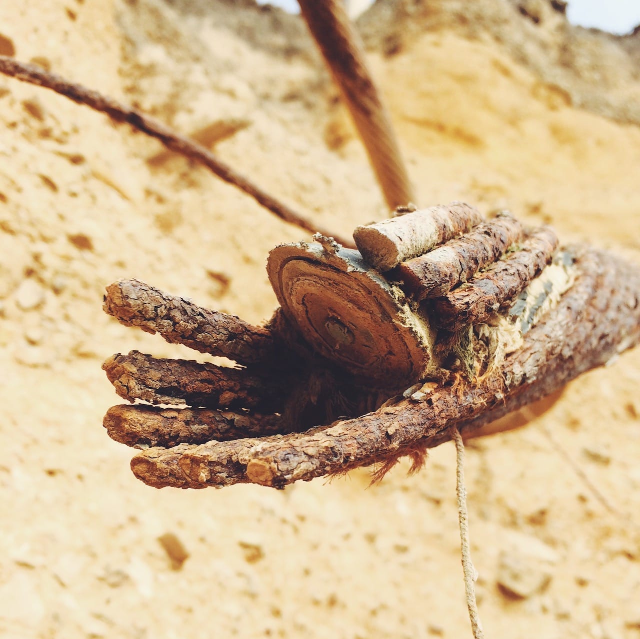 Close-up of coaxial cables