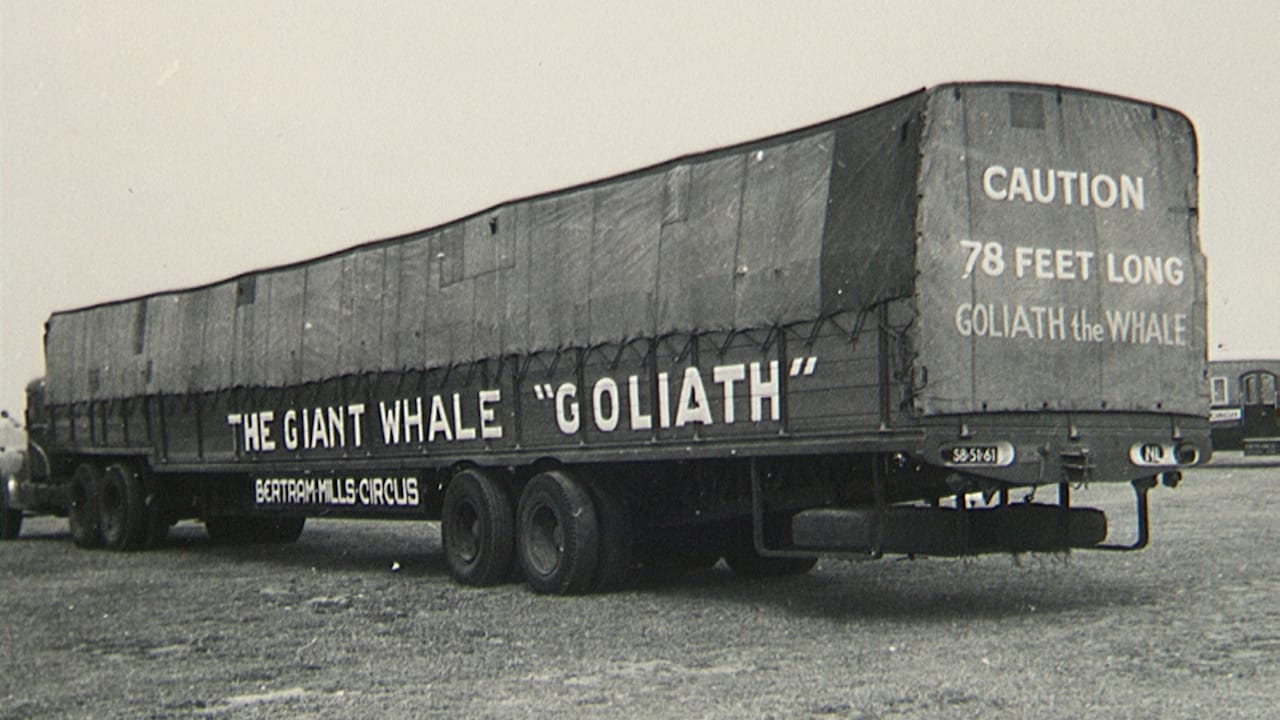 Bertram Mills Circus (1957) (photo by George Tucker)