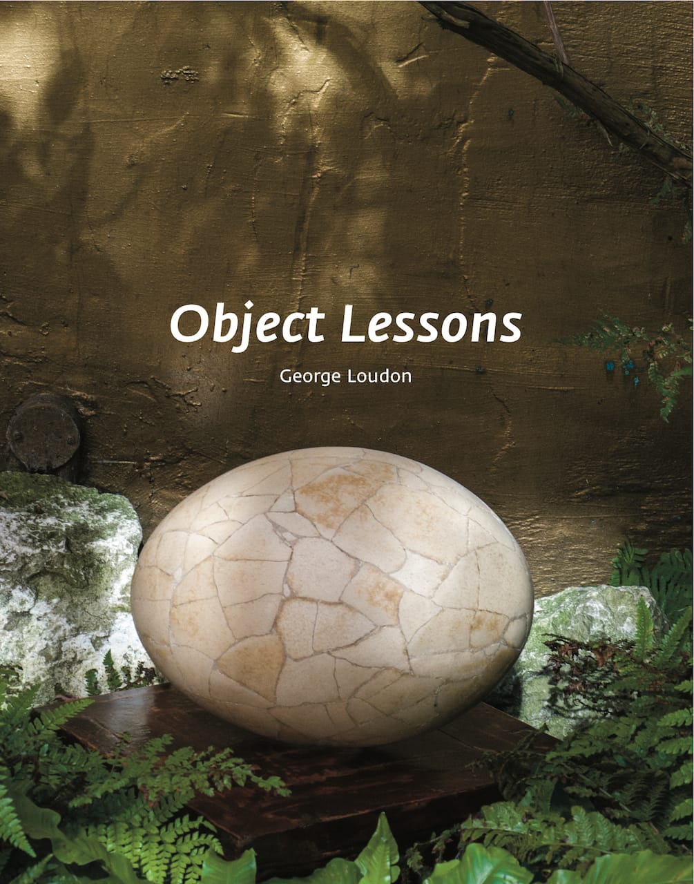 Cover of 'Object Lessons: The Visualisation of Nineteenth-Century Life Sciences' (click to enlarge)