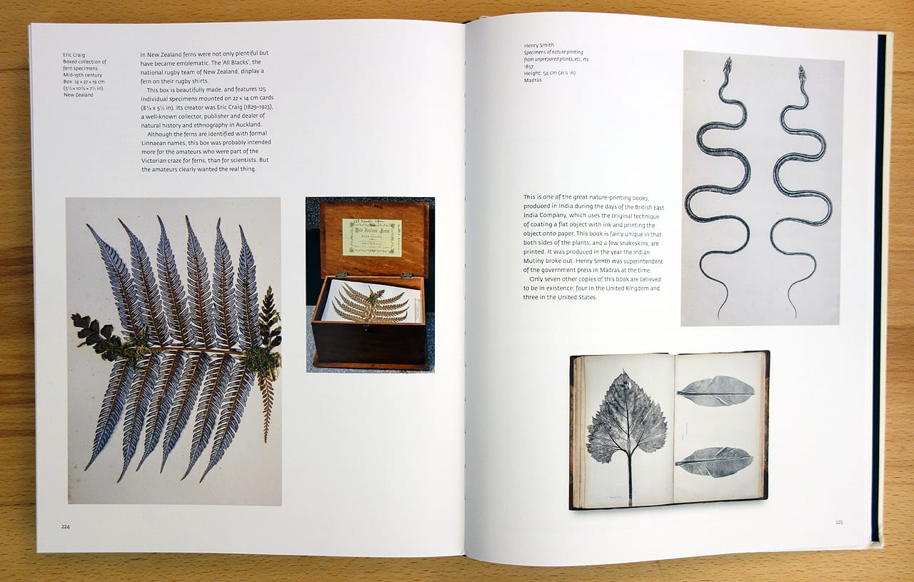 Pages from 'Object Lessons' (photo of the book for Hyperallergic)