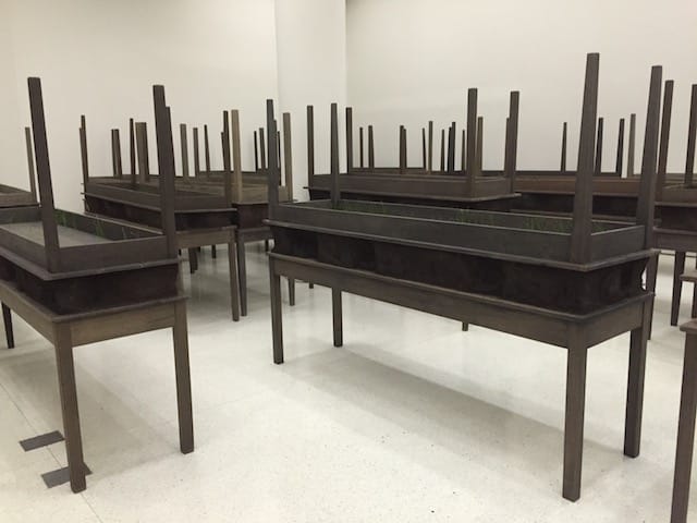 Photo Jul 11, 12 15 43 PM