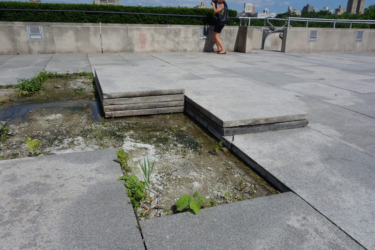 Pierre Huyghe: The Roof Garden Commission